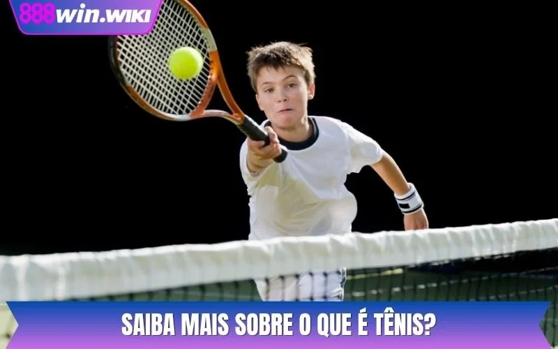 Saiba mais sobre o que é tênis?